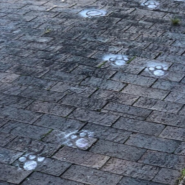Easter bunny footprints DIY 