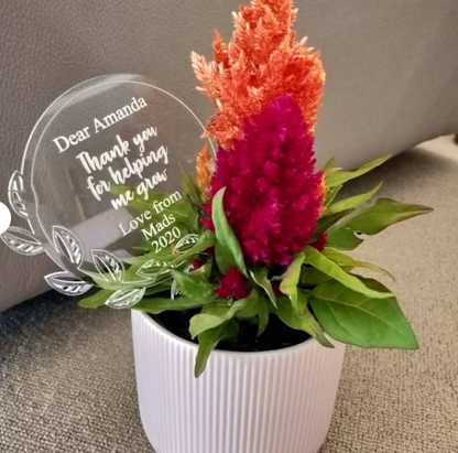 Christmas gift for teacher australia