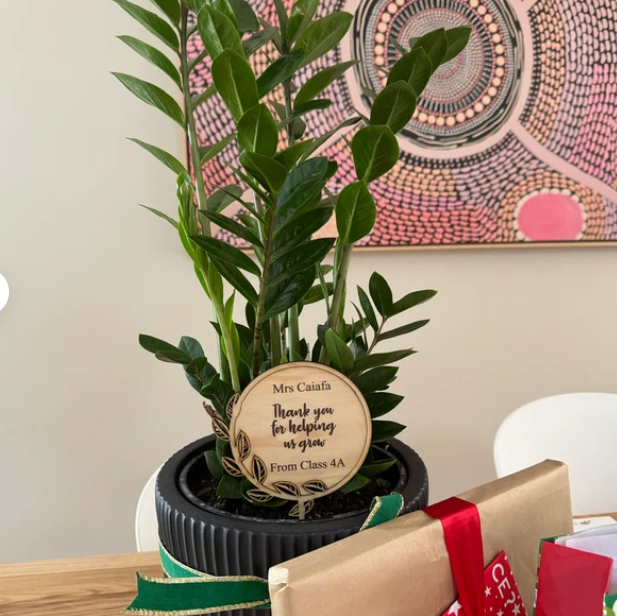 Potted plant with a personalized tag on a desk, framed artwork in the background